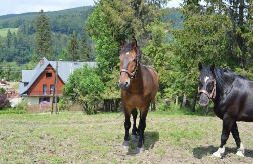 Wisla House | Agroturystyka Skałka