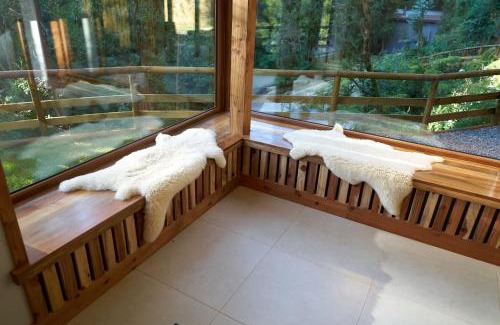 Valdivia Bed & Breakfast | Agua de la piedra