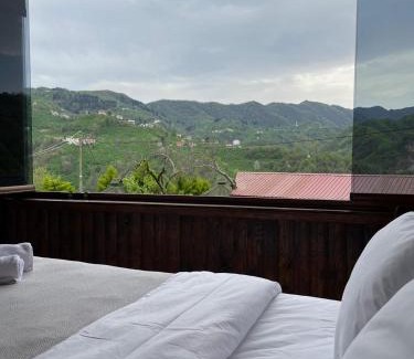 Arakli Bed & Breakfast | AHO 103 dağ manzaralı oda