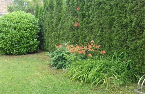 Bukfurdo House | Air-conditioned holiday home in Bükfürdö with garden