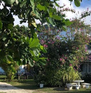 Montego Bay Apartment | Airport Beach Hotel