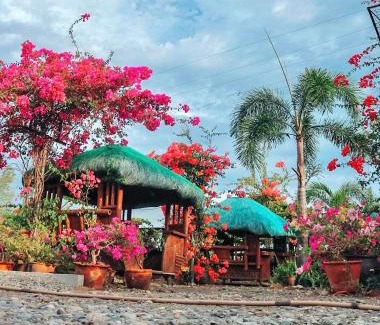 Vigan Hotel | Airport View Hotel Vigan