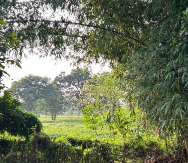 Margherita Apartment | Ajita's Nest