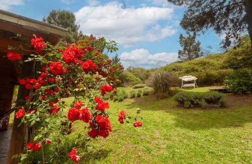 Villa Berna Cabin | Akapana Suites