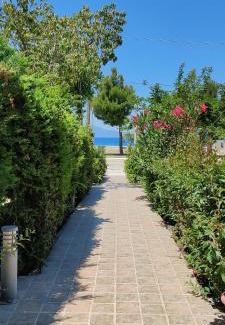 Pefki Apartment | Akrotiri Apartments Pefki Evia