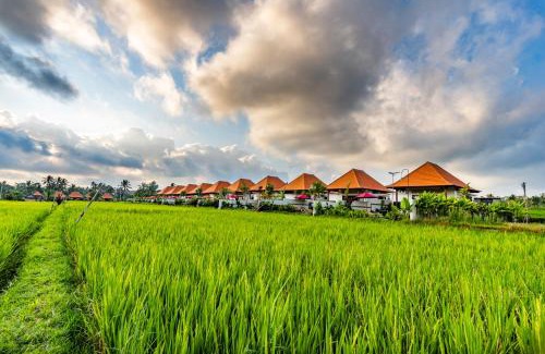 Sebatu Resort | Akshaya Villa, Sacred Welness Retreat by Dhananjaya Hospitality