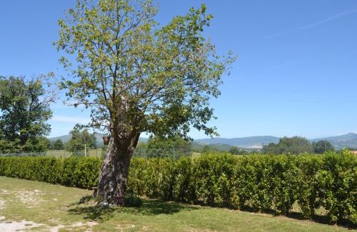 Gallicchio House | Al Bosco delle Api