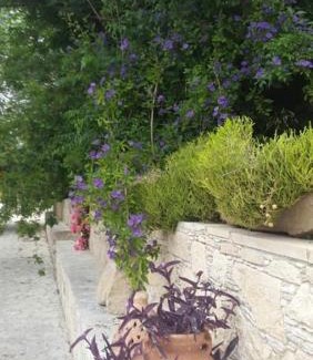 Politiko House | Alambra Atrium