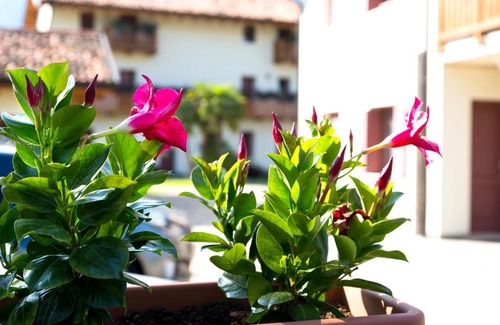 Polcenigo Apartment | Albergo Diffuso Polcenigo B.Vittorio