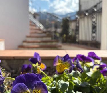 San Severino Lucano Apartment | Albori