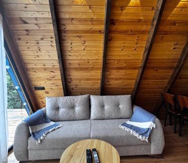 Gonio Ski Chalet | Aleva