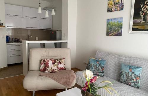 Banja Luka Apartment | Alexandra apartment