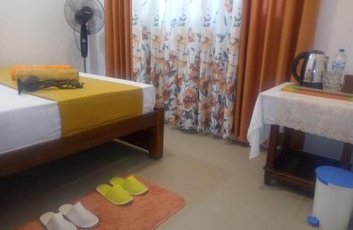 Gampola Bed & Breakfast | ALEXANDRA HOME for foreign tourists only