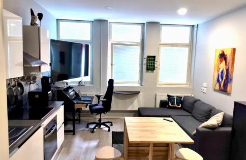 Kokkola Apartment | Alfred Sviitti