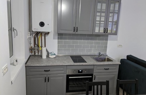 Dumbravita Apartment | Alina's Deluxe Apartment and free private parking