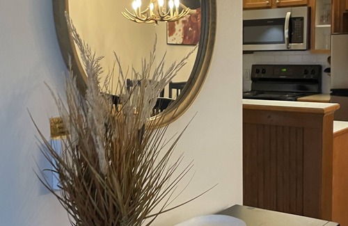 Snowshoe Condo | Allegheny Spring 2bd/2bath sleeps 9.