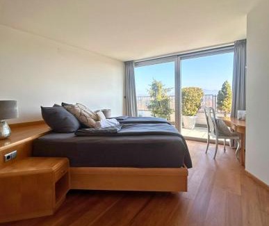 Freilassing Apartment | Allein 250qm im letzten Stock, Ausblick & Sauna, bei Salzburg