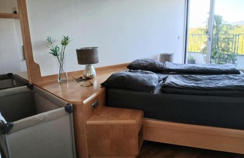 Freilassing Apartment | Allein 250qm im letzten Stock, Ausblick & Sauna, bei Salzburg