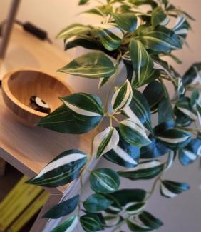 San Faustino-Madonnina-Quattroville Apartment | Alloggio sul parco