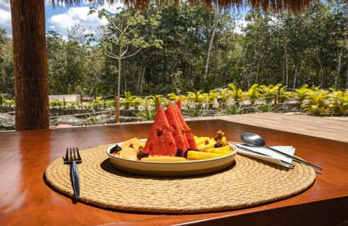 Benito Juarez Resort | Alma Maya Resort - Riviera Maya
