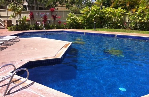 Kahuku Condo | 'Aloha!' Perfect Location Near Beach & Turtle Bay Resort, File # 90/TVU-0507