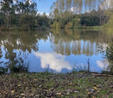 Anadia House | Alojamento Fonte do Mouchão