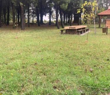 Anadia House | Alojamento Fonte do Mouchão