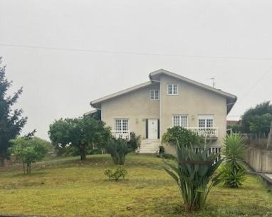 Anadia House | Alojamento Fonte do Mouchão