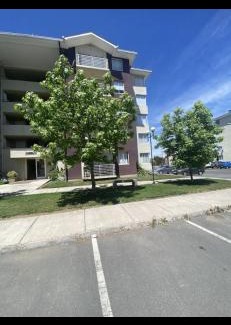 Curico Apartment | Alojamiento en Claros de Rauquen