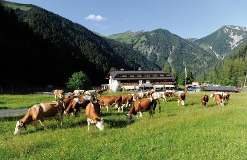 Eben am Achensee House | Alpengasthof Gern Alm