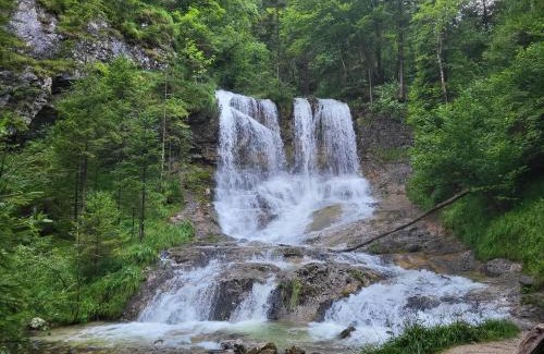 Inzell Apartment | Alpenloft Inzell