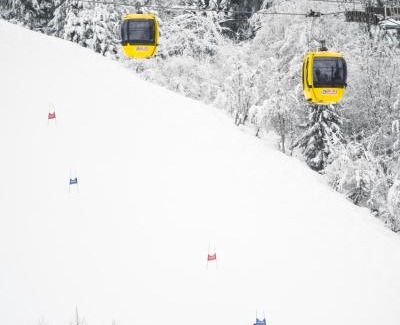 Fieberbrunn Apartment | Alpenstyle Resort Fieberbrunn by AlpenTravel