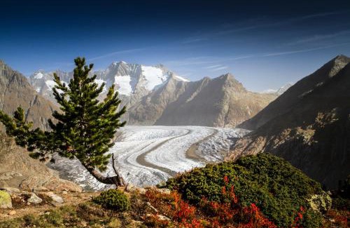 Fiesch Ski Chalet | Alphütte Bielerhüs