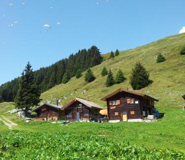 Fiesch Ski Chalet | Alphütte Bielerhüs