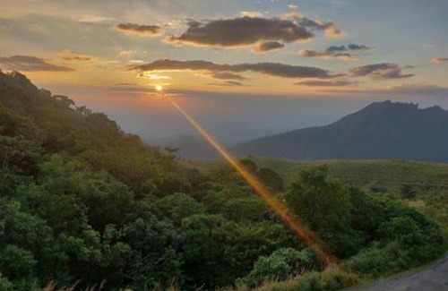 Todupulai House | Alpine aura