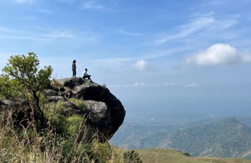 Todupulai House | Alpine aura