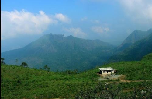 Todupulai House | Alpine aura