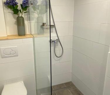 Klosterreichenbach Apartment | Alte Apotheke - Apartment Thymian