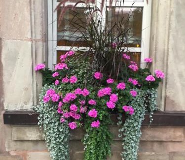 Erlangen House | Altmann's Stube