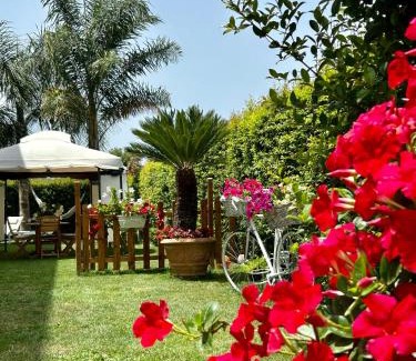 Zambrone Apartment | Alto Giardino