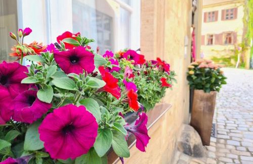 Old Town Hotel | Altstadthotel Molitor