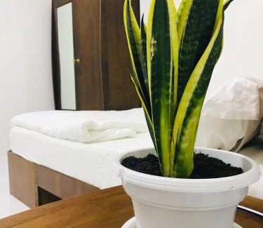 Batu Pahat House | Alyn Home Batu Pahat II Wifi Coway