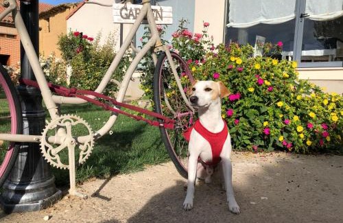 Poblacion de Campos House | Amanecer en Campos