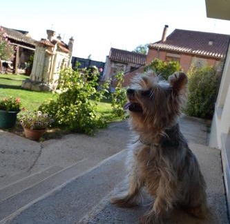 Poblacion de Campos House | Amanecer en Campos