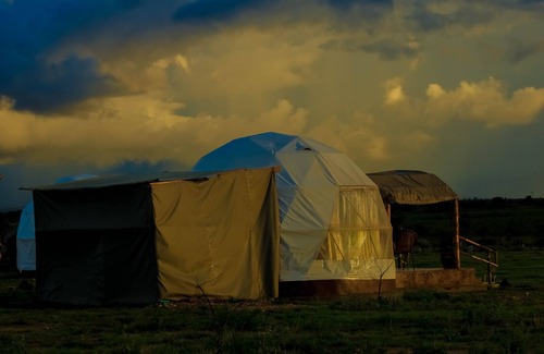 Amboseli Cabin | Amanya 1-Bed Leopard Tent