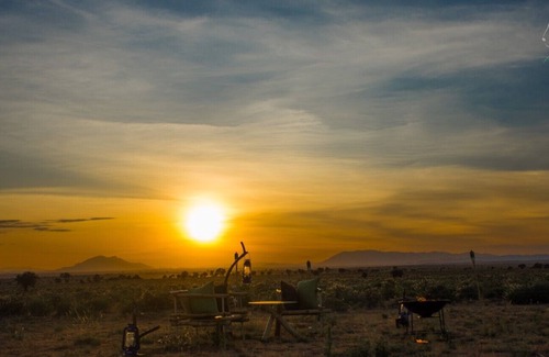 Amboseli Cabin | Amanya 1-Bed Leopard Tent