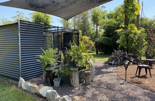 Girraween House | Amaroo in Girraween