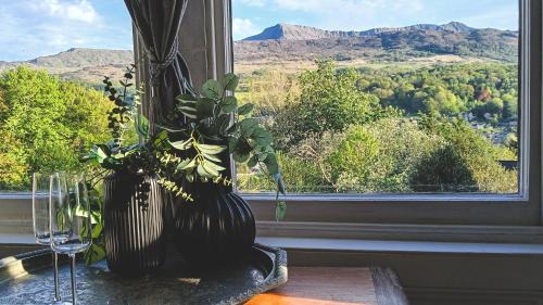 Dolgellau Bed & Breakfast | Amazing Cader views Torrent en suite