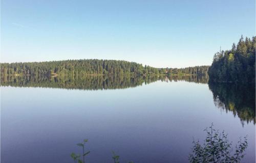 Dalsjofors House | Amazing Home In Dalsjöfors With Sauna