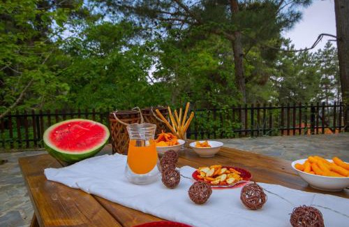 Platres Villa | Amazing Villa in Pano Platres Cyprus